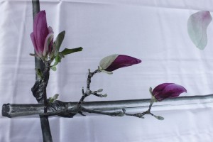 Tovaglia Magnolia di Tag House