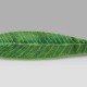 Tappeto Feuille Habidecor