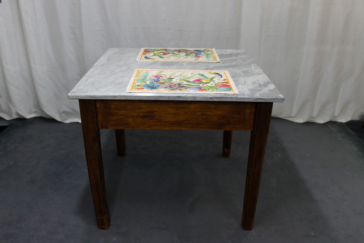 Set 2 Tovagliette Mymat Kactus Tessitura Toscana Telerie Set 2 Tovagliette Mymat Kactus Tessitura Toscana Telerie