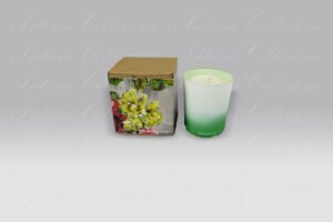 Candela Grandiflora Designers Guild