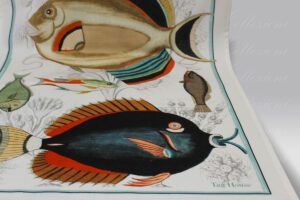 Canovaccio Artissima Fish 3925 Tag House