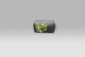 Trousse Indian Sunflower Graphite small Designers Guild