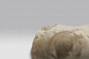 Plaid Nuvola beige Dea