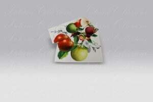 Set 4 Tovaglioli Artissima Apple 3920 Tag House