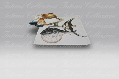 Set 4 Tovaglioli Artissima Marino 3955 Tag House