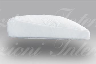 Guanciale Fisio Daunen Step